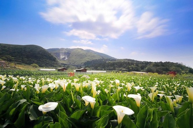 Private Yangmingshan & Beitou Tour from Taipei with Pickup - Xiaoyoukeng and the feel of volcanic Taiwan