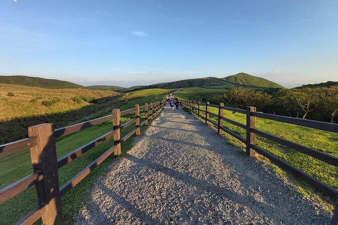 Private Yangmingshan National Park Hiking Day Tour from Taipei - What your nine-hour day looks like