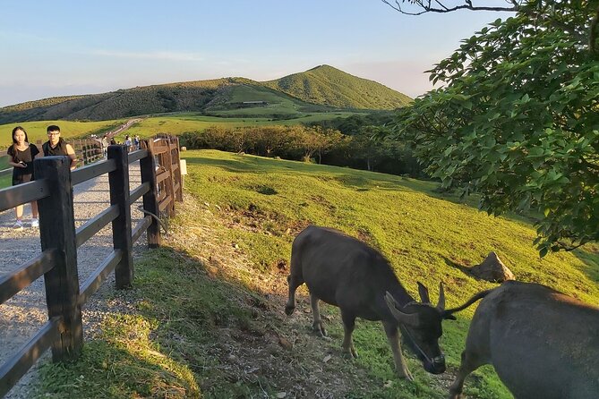 Private Yangmingshan National Park Hiking Day Tour from Taipei - Is $255 per person fair value?