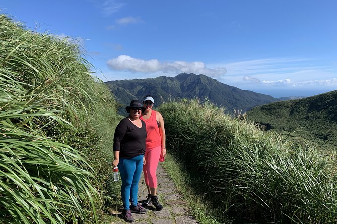 Private Yangmingshan Volcano Tour - Qingtiangang Grassland brings open views