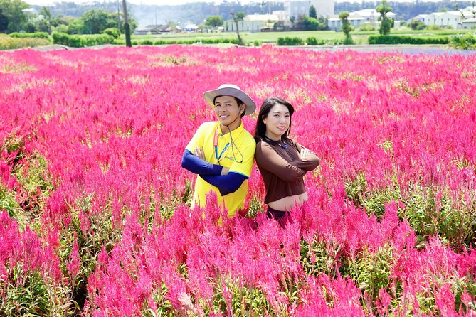 Taichung Must-Visit Join In Day Tour from Taipei - Zhongshe Flower Market starts the day with color