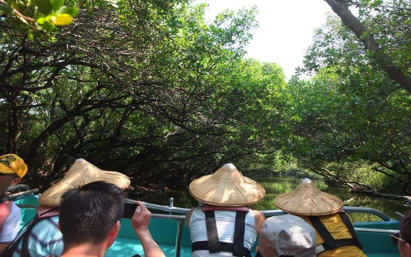 Tainan: Sicao Green Tunnel Scenic Boat Ride - Key points to know before you go