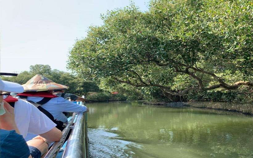 Tainan: Sicao Green Tunnel Scenic Boat Ride - Entering Sicao Green Tunnel by fishing raft