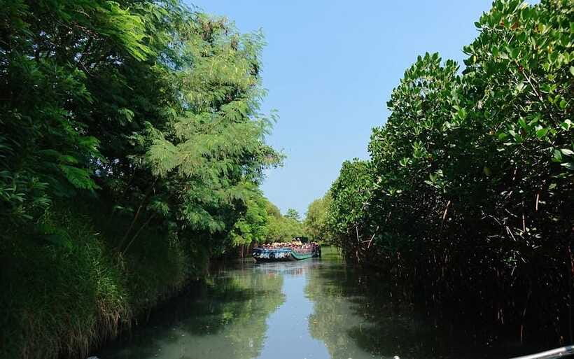 Tainan: Sicao Green Tunnel Scenic Boat Ride - Who should book this Tainan outing?