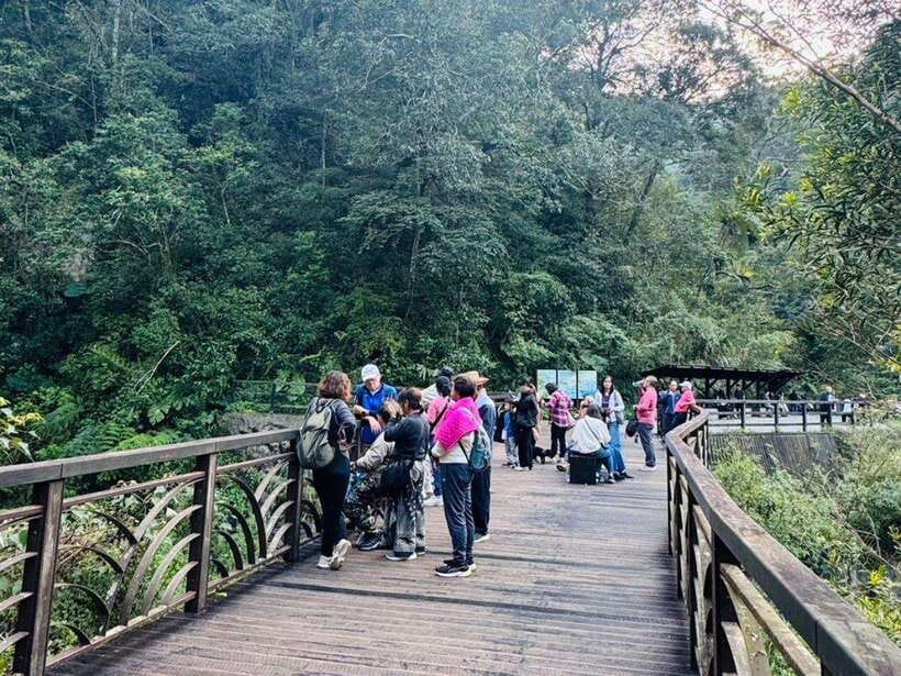 Taipei: 8 Hours Private Day Tour in Wulai with Benz Vito - The private van, guide quality, and timing