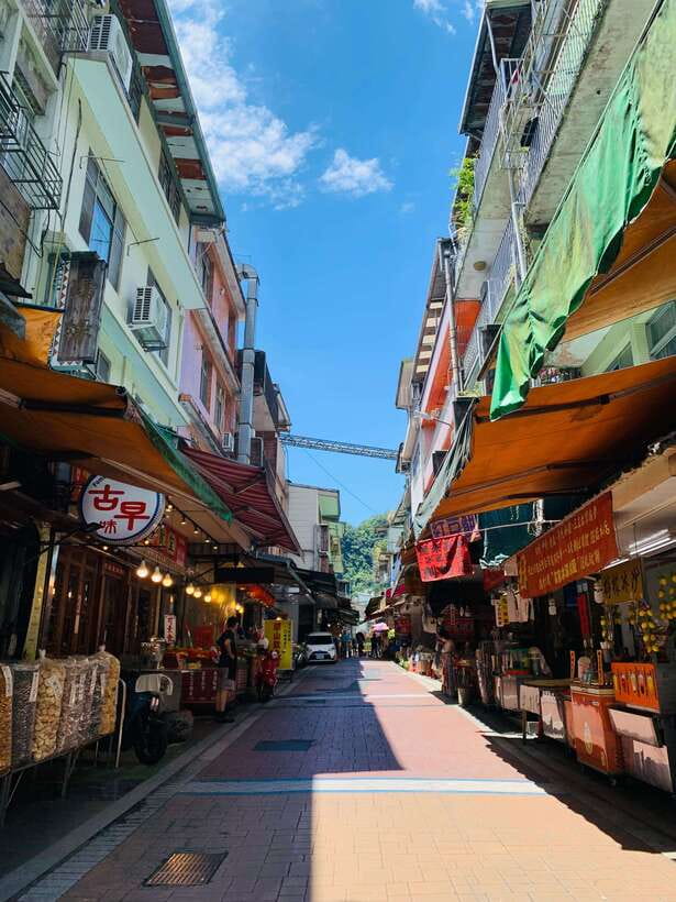 Taipei: 8 Hours Private Day Tour in Wulai with Benz Vito - Walking through Neidong’s fern country