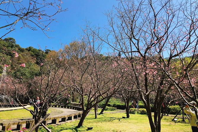 Taipei Cherry Blossom Day Tour to Yangmingshan and Tamsui - Sunset at Fisherman’s Wharf
