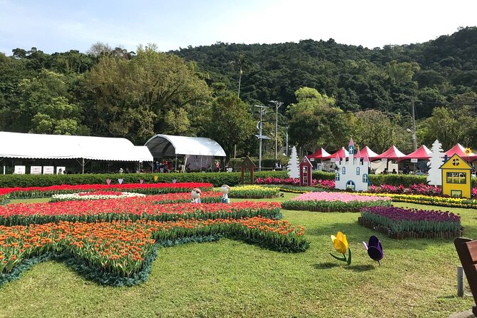 Taipei Cherry Blossom Day Tour to Yangmingshan and Tamsui - Who should book this tour?