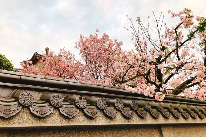 Taipei Cherry Blossom Day Tour to Yangmingshan and Tamsui - Yangmingshan, Taipei’s mountain escape