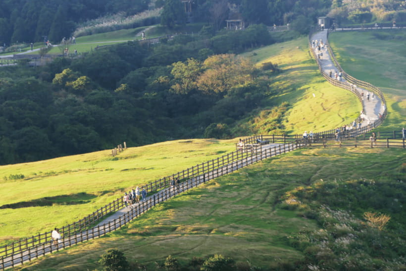 Taipei: Yangmingshan & Beitou Full-Day Tour - Sulfur Valley and the feel of a live volcano