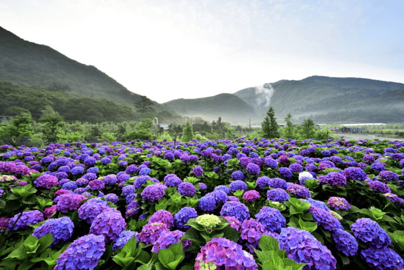 Taipei: Yangmingshan, Shifen, Jiufen & Yehliu Private Tour - Shifen Waterfall: a cool finish in the forest