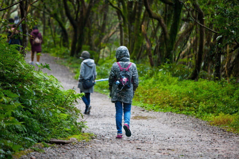 Taipei: Yangmingshan, Shifen, Jiufen & Yehliu Private Tour - Why a private tour can be worth $211
