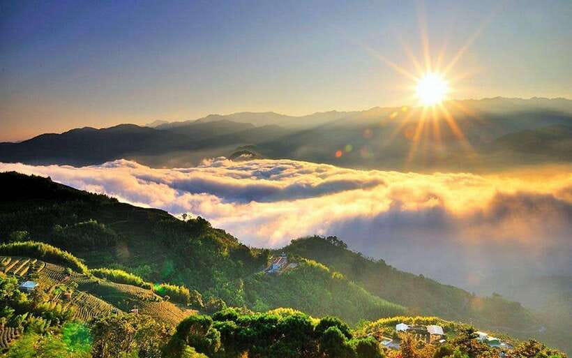 Taiwan: Alishan National Forest Recreation Area E-ticket - Key points to know before you go
