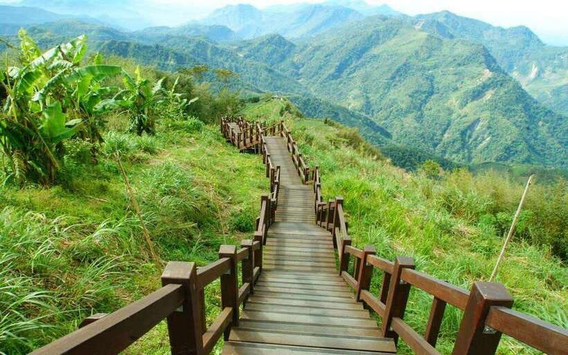 Taiwan: Alishan National Forest Recreation Area E-ticket - Should you book the Alishan e-ticket?