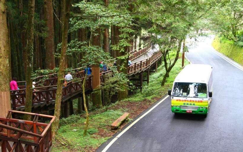 Taiwan: Alishan National Forest Recreation Area E-ticket - Walking among trees older than recorded memory