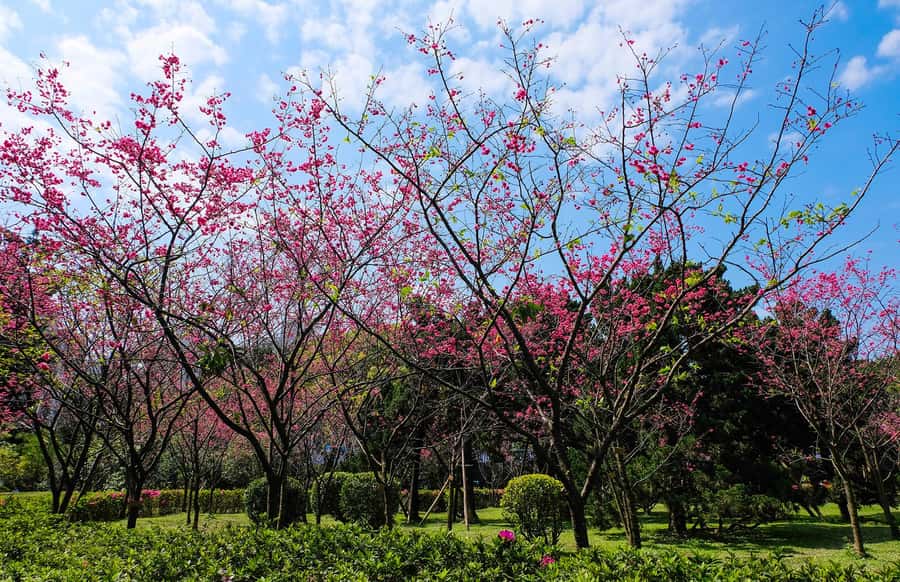Taiwan Taipei: 8-Hour Customized Taipei City Exploration! - A Taipei day built around your interests