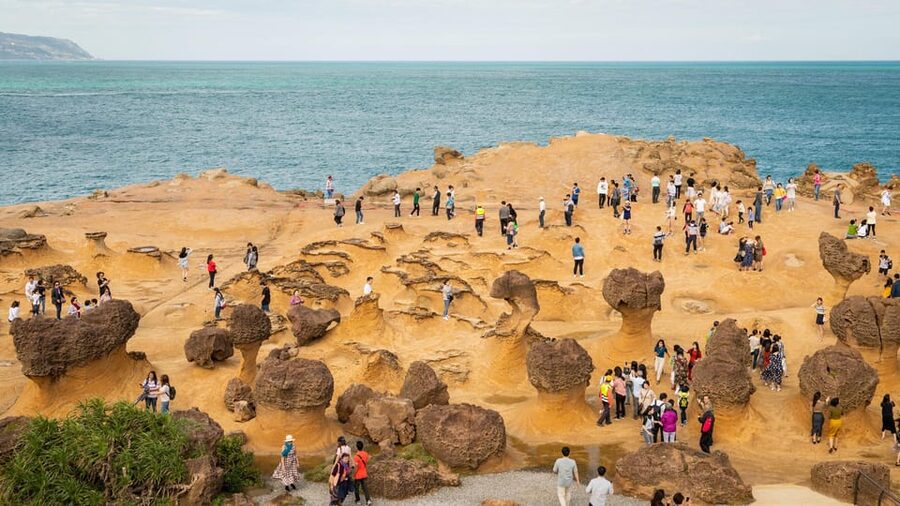Taiwan Taipei: Customized Private Tour - Planning stops when mobility matters