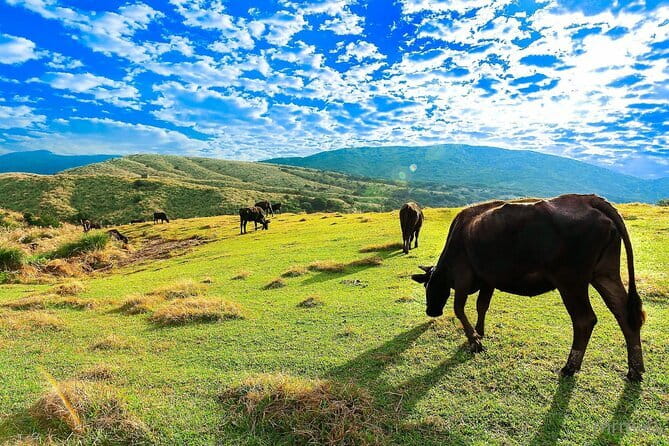 Taiwan TST : Private Tour Taipei, Yangmingshan, Beitou, Tamsui - Beitou Hot Spring Museum and Thermal Valley
