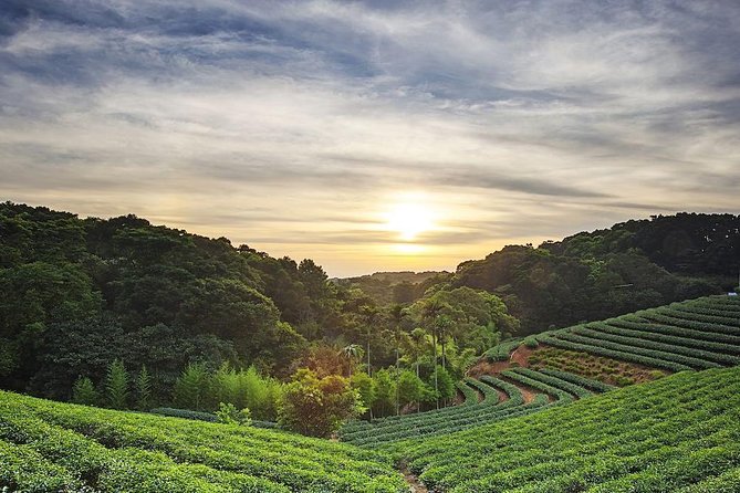 Tea of Taipei: Small-Group Tour with Taipei City Sightseeing - Key points at a glance