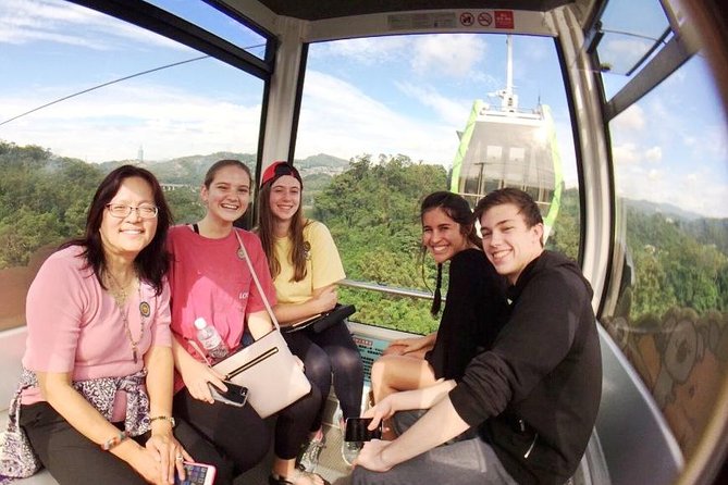 Tea of Taipei: Small-Group Tour with Taipei City Sightseeing - A full day in Taipei’s tea country