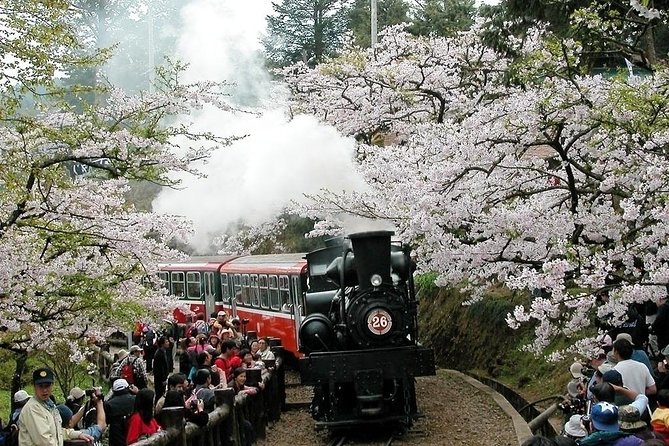 Two-day Sun Moon Lake & Alishan Forest Park Tour Package - Day 1 at Sun Moon Lake and Thao country