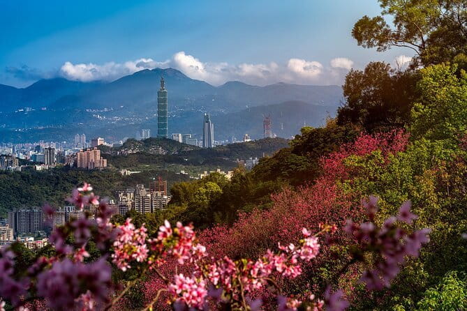Vintage Taipei - Best of Taiwan & Sunset Walking Tour (Tip-based) - Chinese herbal shops and the dry-goods market